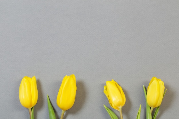 Gele tulpen op grijze papier achtergrond