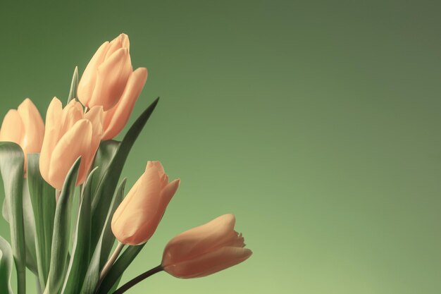 Gele tulpen op groene achtergrond