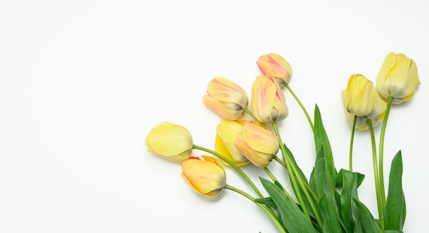 Gele tulpen op wit oppervlak, bovenaanzicht, kopie ruimte