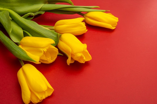 Gele tulpenbloemen op een rode achtergrond. Wachten op de lente. Gelukkig Paaskaart. Plat lag, bovenaanzicht. Kopieer ruimte voor tekst