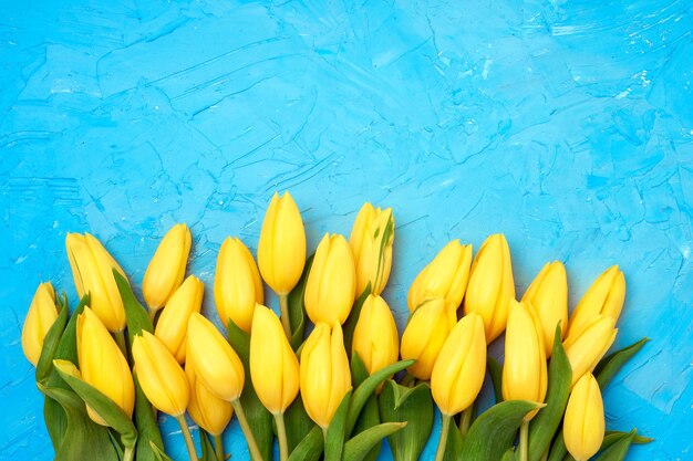 Foto gele tulpengrens op blauw.