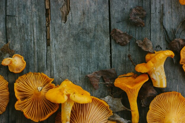 Gele verse cantharelpaddestoelen op een houten grijze oppervlakte.