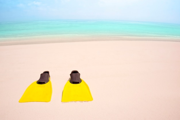 Gele vinnen op het zandstrand