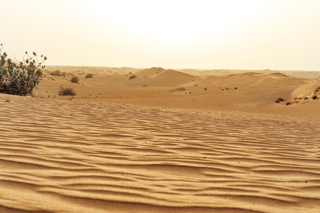 Gele zandduinen in de woestijn van Dubai voor een achtergrond