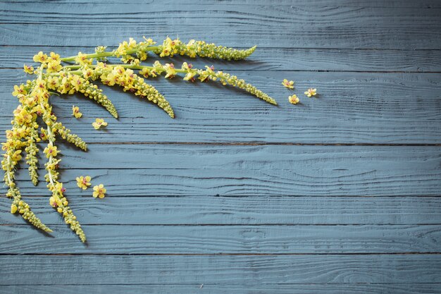 Gele zomerbloemen op blauwe houten achtergrond