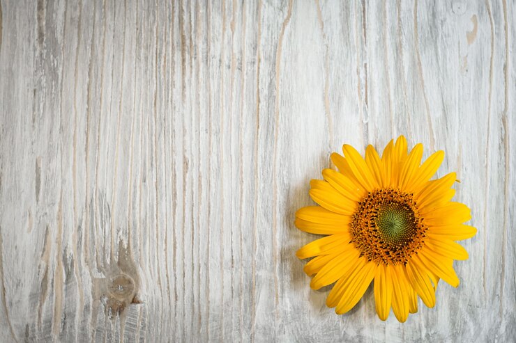 Foto gele zonnebloem bloemen op een witte houten achtergrond