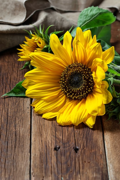 Gele zonnebloem op houten achtergrond