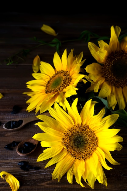 gele zonnebloemen met zaden