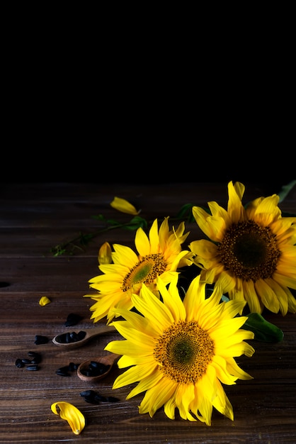 Gele zonnebloemen met zaden