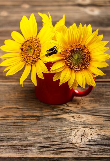 Gele zonnebloemen