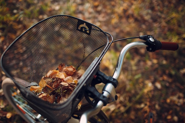 Gelukkig actieve jonge vrouw fietsten in herfst park