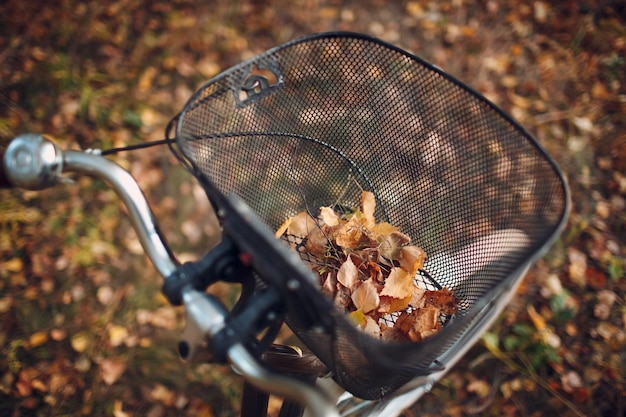 Gelukkig actieve jonge vrouw fietsten in herfst park