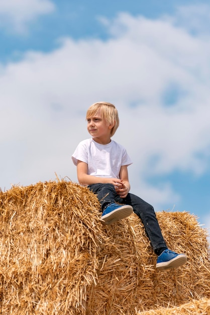 Gelukkig blond kind zit op een enorme hooiberg in het dorp tegen de blauwe hemel Zomervakantiedag Oogsten