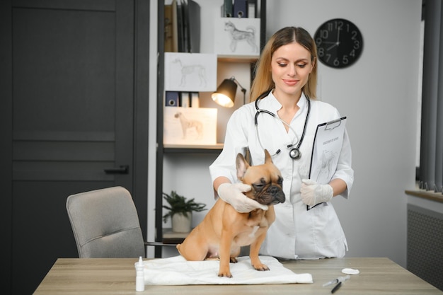 Gelukkig dierenarts arts met een hond bij dierenarts kliniek