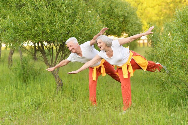 Gelukkig fit senior koppel trainen in het park