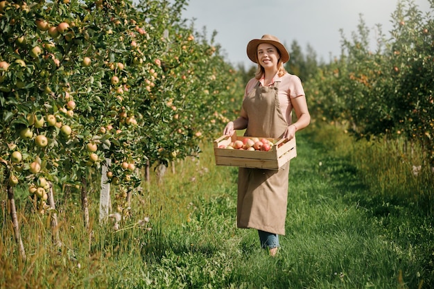 Gelukkig glimlachende vrouwelijke landbouwer die tijdens de herfstoogst verse rijpe appels plukt in de boomgaardtuin