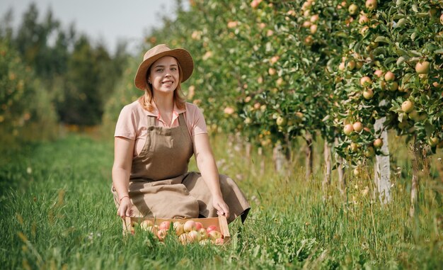 Gelukkig glimlachende vrouwelijke landbouwer die tijdens de herfstoogst verse rijpe appels plukt in de boomgaardtuin