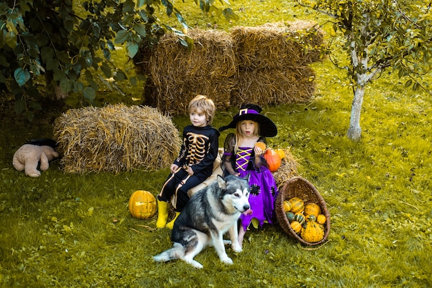 Gelukkig halloween trickortreat kind concept kinderen in amerika vieren halloween schattige kinderen wea...