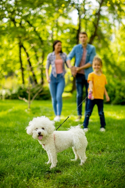 Gelukkig jong gezin met schattige bichon hond in het park