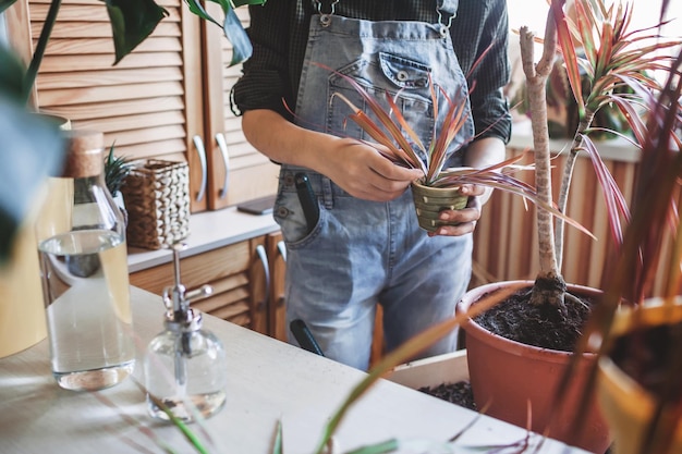 Gelukkig jong meisje verpotten huisplanten op het balkon groene omgeving in kamer tuinieren