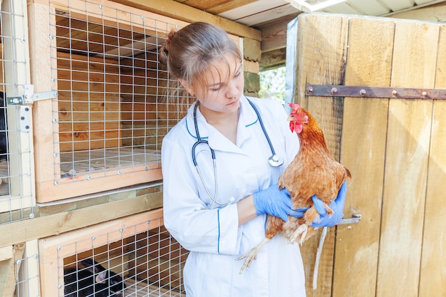 Gelukkig jonge dierenarts vrouw met stethoscoop houden en onderzoeken van kip op ranch achtergrond. Kip in handen van dierenarts voor controle in natuurlijke eco-boerderij. Dierverzorging en ecologisch landbouwconcept.