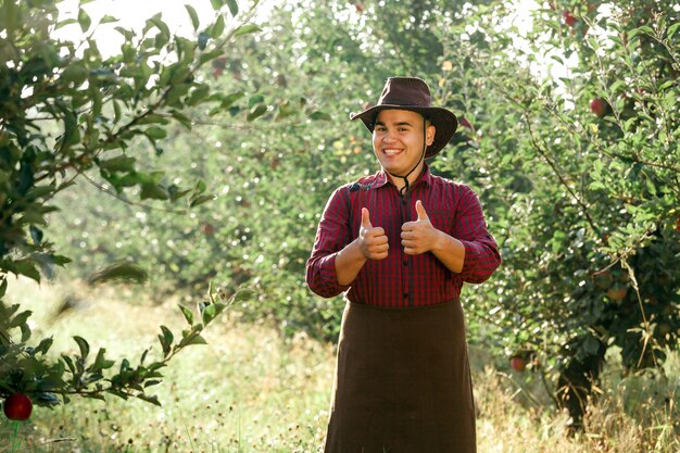 Gelukkig jongeman in de tuin verzamelen van rijpe appels