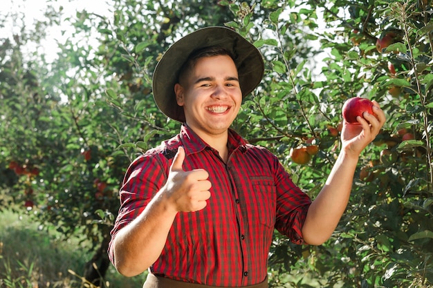 Gelukkig jongeman in de tuin verzamelen van rijpe appels