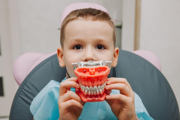 Gelukkig jongetje dat de anatomie van menselijke tanden bestudeert en een model van tanden vasthoudt in het tandartskantoor. kunstgebit