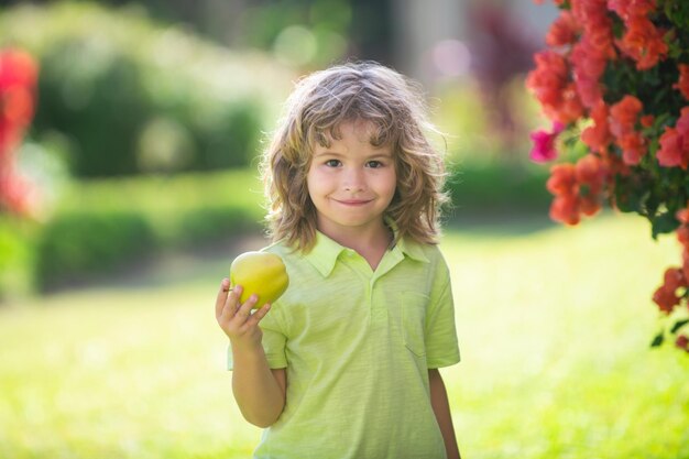 Gelukkig jongetje dat groene appel eet, glimlachend kind vasthoudt en eet verse appeltuin achtergrondpor