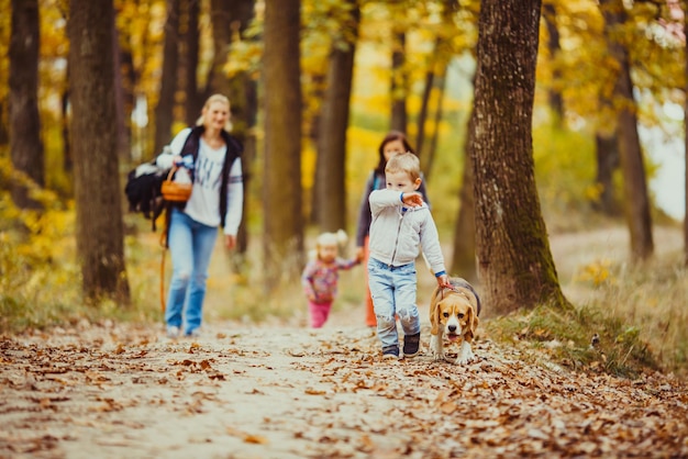 Gelukkig jongetje wandelen met zijn beagle hond in het park