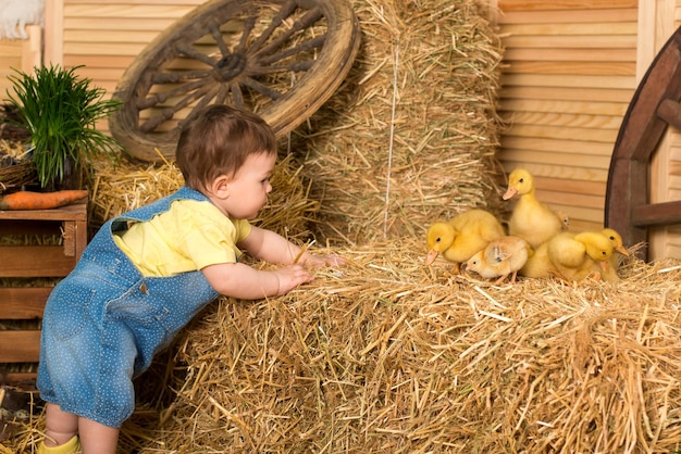 Gelukkig klein meisje wordt gespeeld met schattige pluizige paaseendjes