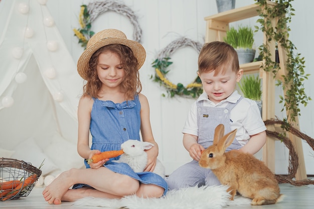 Gelukkig lachend meisje en jongen spelen met een baby konijn