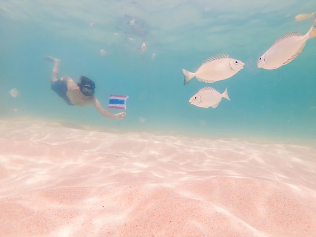 Gelukkig man in snorkelmasker duik onder water met tropische vissen met thailand vlag in koraalrif zee zwembad reizen levensstijl watersport outdoor avontuur zwemlessen op zomervakantie strandvakantie