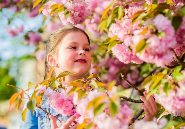 Gelukkig meisje in kersenbloem sakura-boom bloeiend klein meisje in lentebloem bloei huidverzorging spa natuurlijke cosmetica voor de huid bloesemgeur allergie zomervakantie jeugdschoonheid ik ben vrij