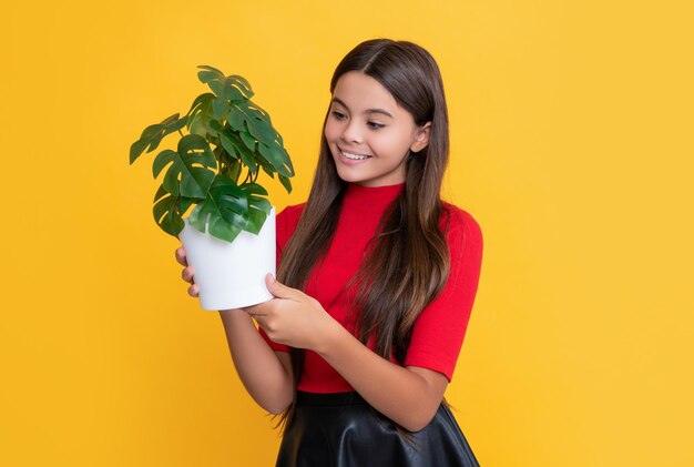 Gelukkig meisje met monstera in pot op gele achtergrond