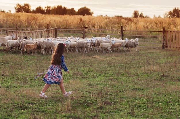 Gelukkig meisje met schapen op boerderij