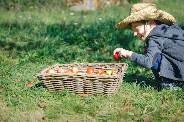Gelukkig schattig kind met hoed verse biologische appel in rieten mand met fruitoogst zetten. Natuur en kindertijd concept.