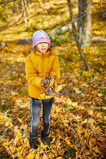 Gelukkig schattig kindmeisje dat gele gevallen bladeren lacht en speelt