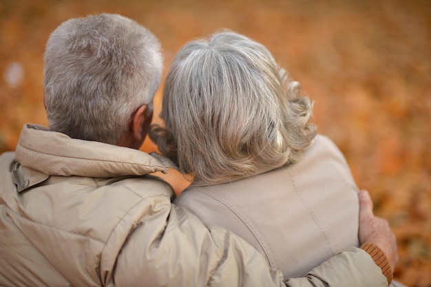 Gelukkig Senior paar in park achteraanzicht