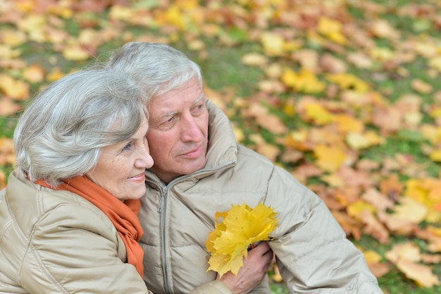 Gelukkig Senior paar poseren in herfst park