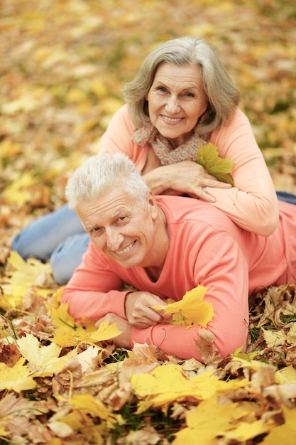 Gelukkig senior paar poseren op herfstbladeren