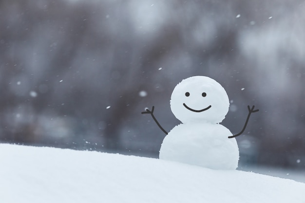 Gelukkig sneeuwpop op de achtergrond van de winter. kerstkaart. nieuwjaars buitenactiviteit