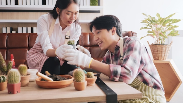 Gelukkig tuinmanpaar die cactus samen in de ruimte behandelen.