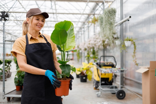 Gelukkig volwassen vrouw tuincentrum werknemer met groene potplant