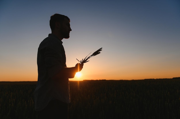 Gelukkige agronoom staat in zijn groeiende gerstveld en onderzoekt gewassen na succesvol zaaien