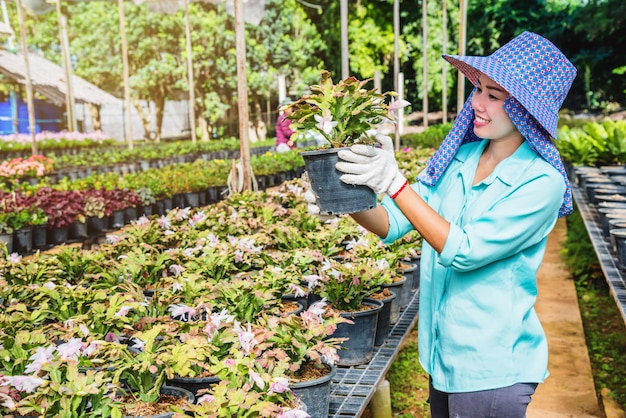 Gelukkige arbeiders Aziatische vrouw met het planten van bloemen die bloemen in serre behandelen.