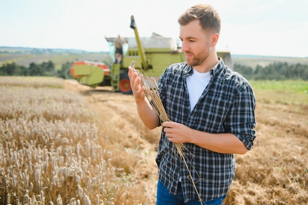 Gelukkige boer die trots in een veld staat Maaidorserbestuurder gaat een rijke tarweoogst bijsnijden Agronoom die een flanellen overhemd draagt en naar de camera kijkt op een landbouwgrond