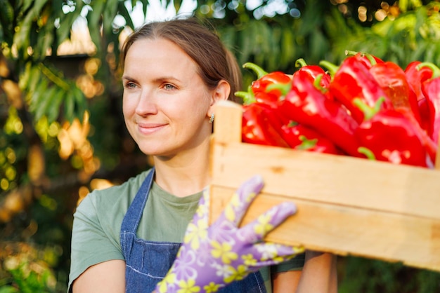 Gelukkige boer met verse rode paprika's