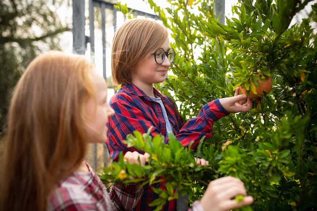 Gelukkige broer en zus verzamelen samen appels in een tuin