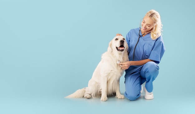 Gelukkige dierenarts die de hartslag van de golden retrievers controleert in de dierenkliniek die met labrador zit